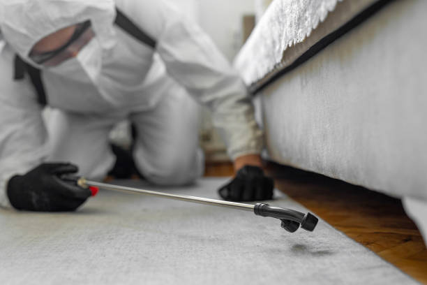 Professional Bed Bug Control technician working in Douglas County County, GA
